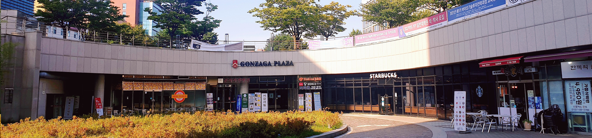 서강국제학사유한회사 MAINVISUAL